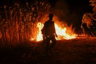 Los Angeles Fire: Brush fire in Ventura, California - Source: Getty